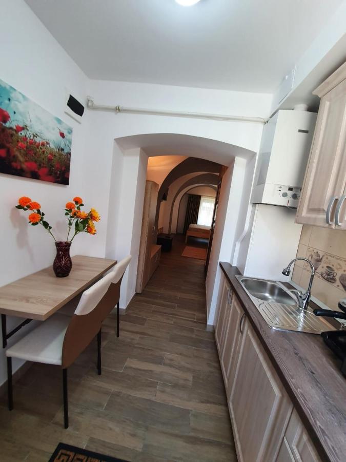 Radu Apartament Leilighet Sibiu Eksteriør bilde