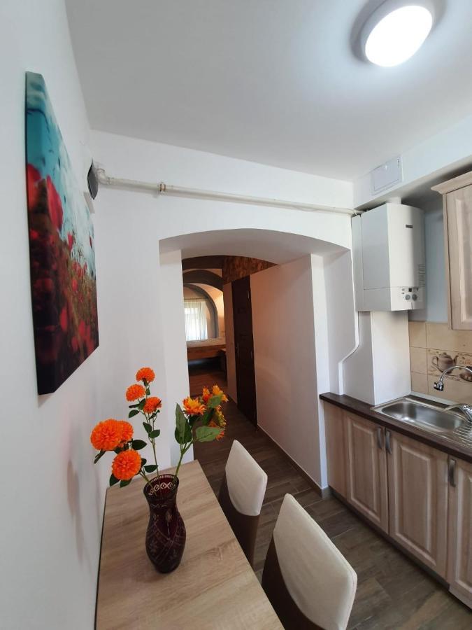 Radu Apartament Leilighet Sibiu Eksteriør bilde